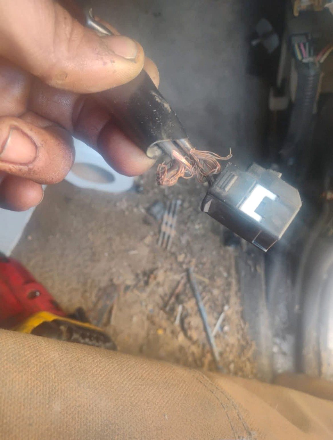 Damaged vehicle wiring under diagnosis